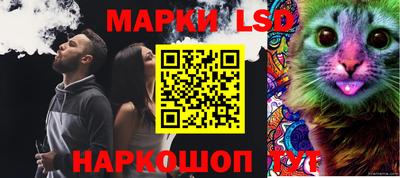 сатива Славгород