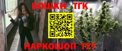 сатива Славгород