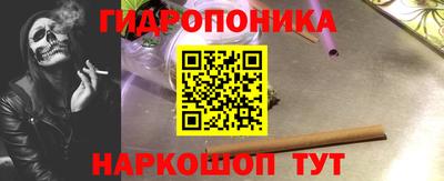 сатива Славгород