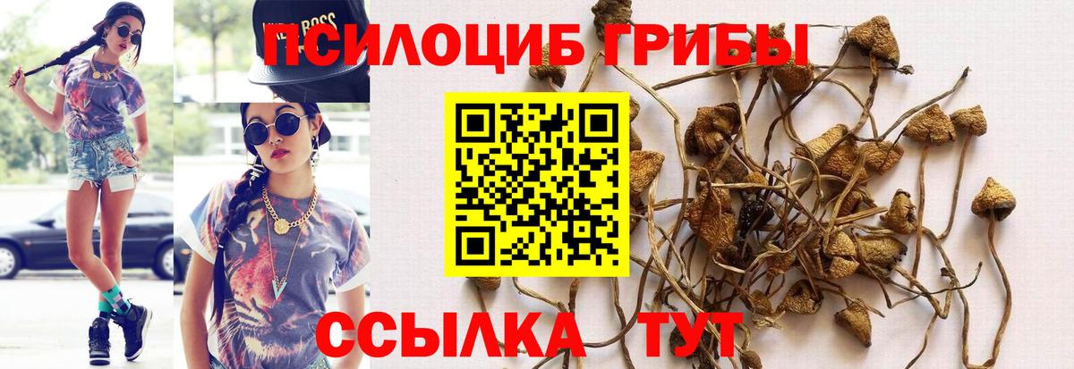 Галлюциногенные грибы прущие грибы  Вход с VPN  Ростов Великий 